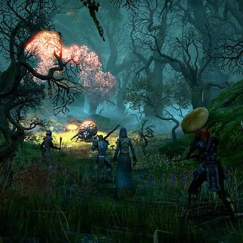 The Elder Scrolls Online 60-Days Pre-Paid Cd Key